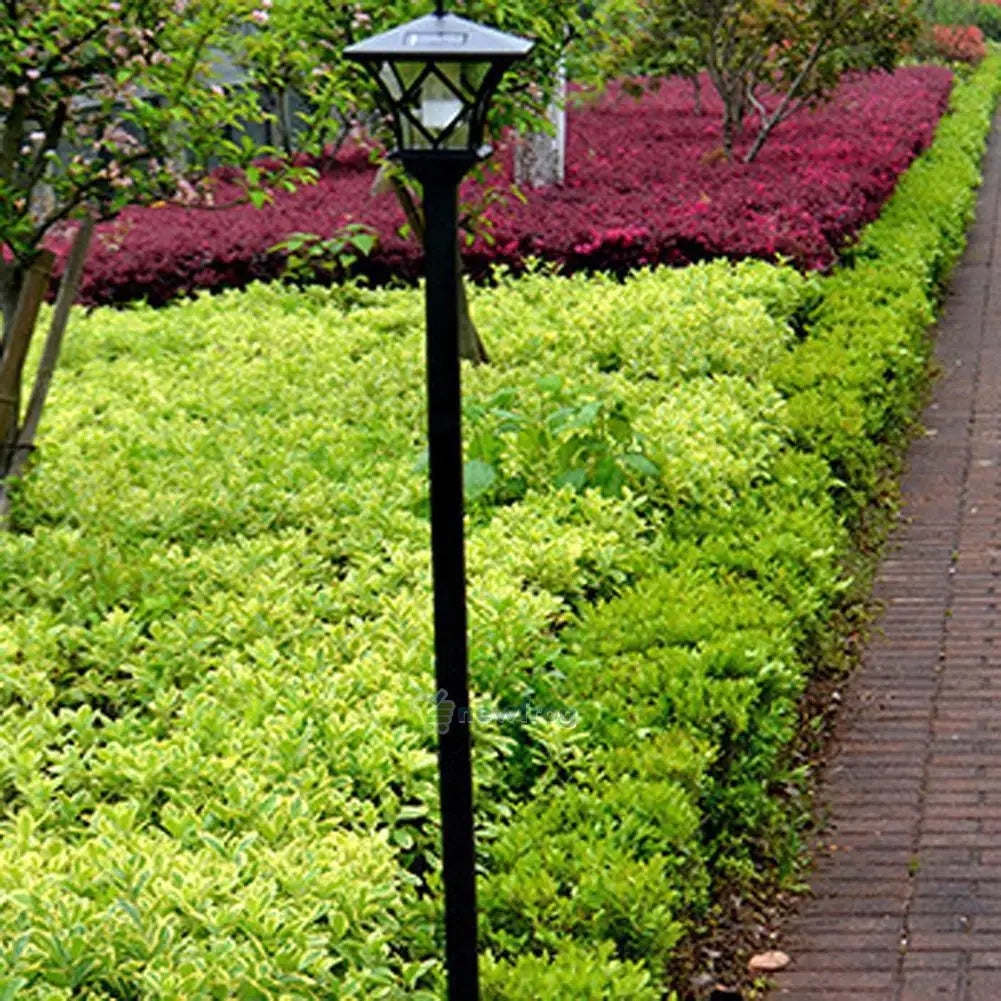 Solar Landscape Lights Outdoor Garden Lawn Path LED