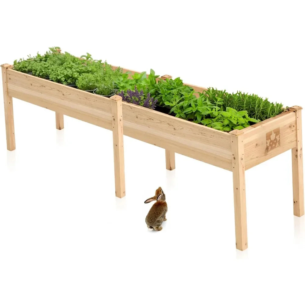 Raised Garden Bed With Legs Elevated Planter Box Veggies